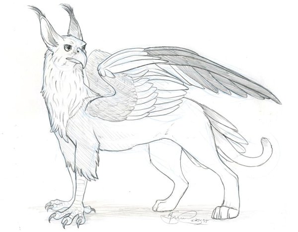 Гиппогриф Клювокрыл набросок