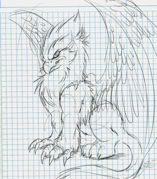 Грифон для срисовки