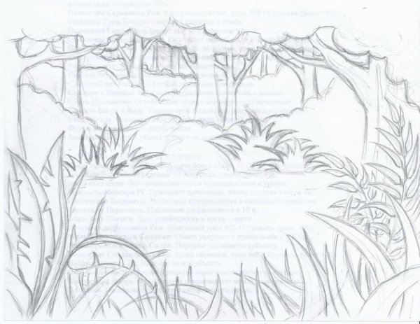 Детские рисунки леса карандашом