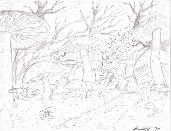 Сказочный лес карандашом