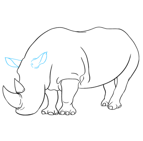 Носорог рисунок для детей карандашом
