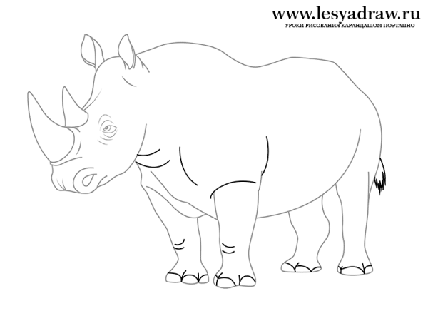 Носорог рисунок карандашом