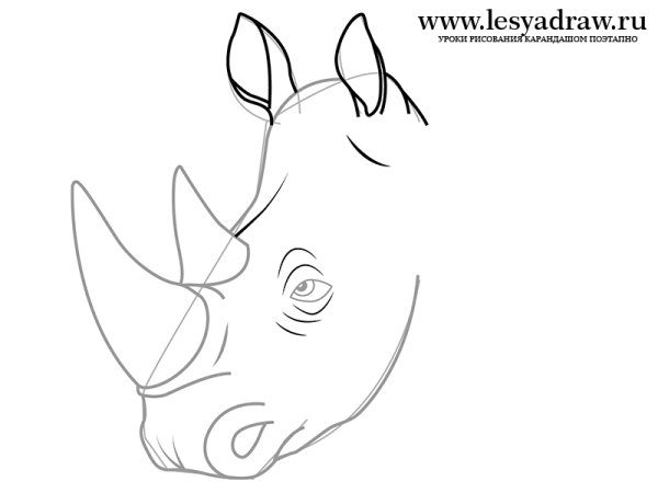 Как нарисовать носорога для детей поэтапно