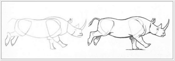 Носорог рисунок для детей карандашом