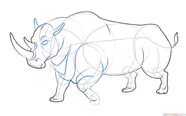 Поэтапное рисование носорога