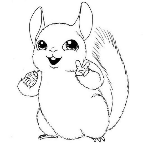 Нарисовать шиншиллу