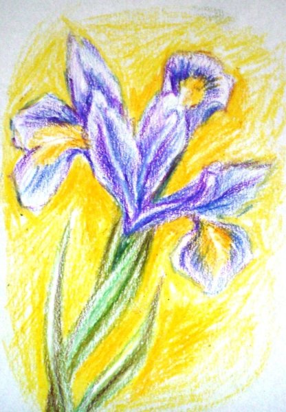 Рисование восковыми мелками