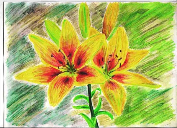 Рисование пастелью для детей