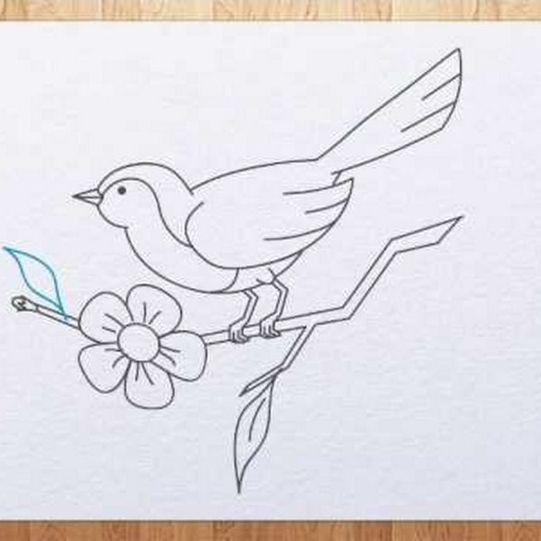 Рисунки карандашом природа