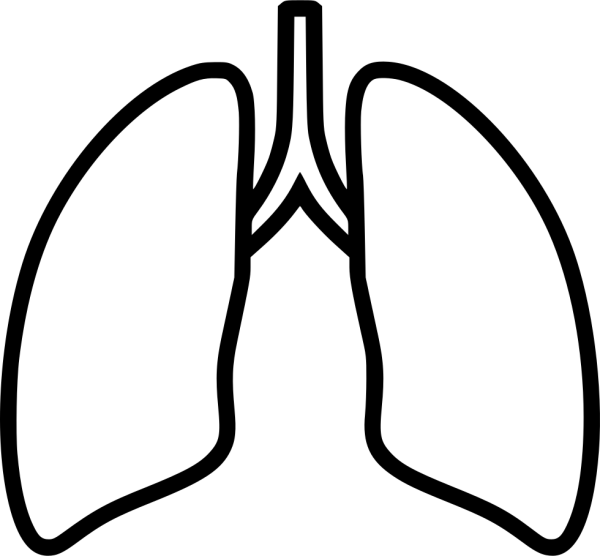 Раскраска лёгкие человека