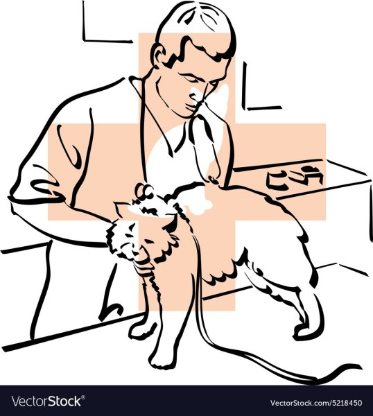 Раскраска ветврач