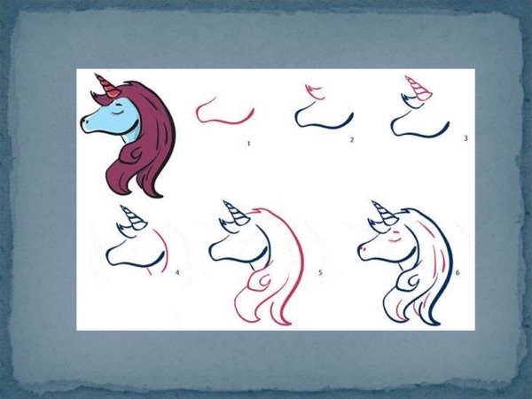 Поэтапное рисование единорога