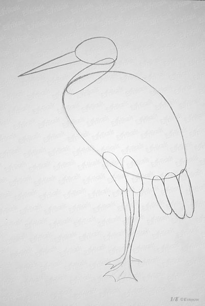 Как нарисовать аиста