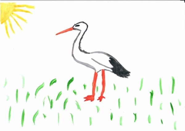 Поэтапное рисование аиста