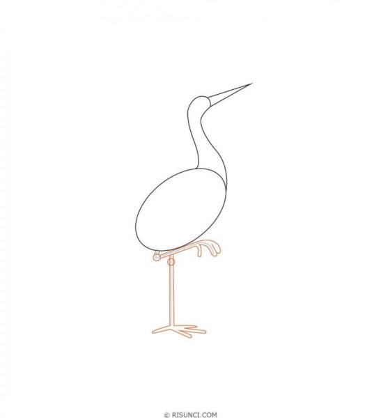 Поэтапное рисование аиста