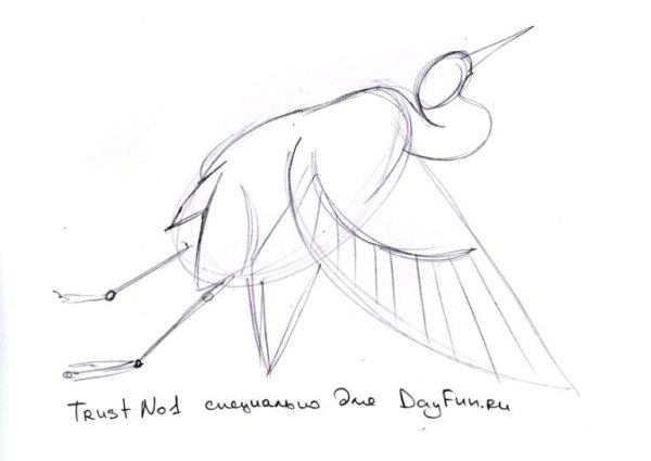 Аист для рисования