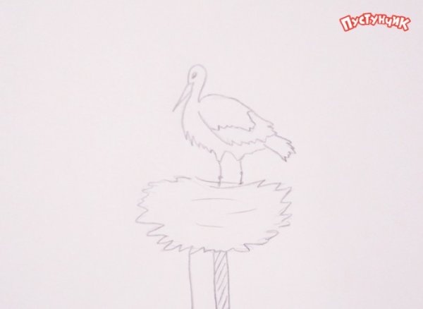 Цапля рисунок для детей карандашом
