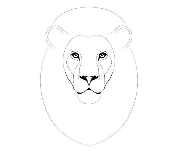 Голова Льва карандашом