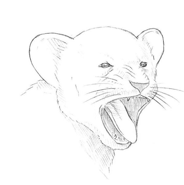 Как нарисовать зевок