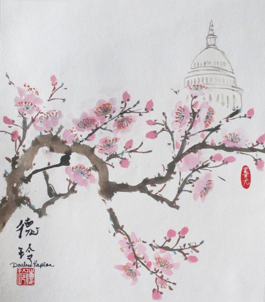 Ветка Сакуры рисунок карандашом