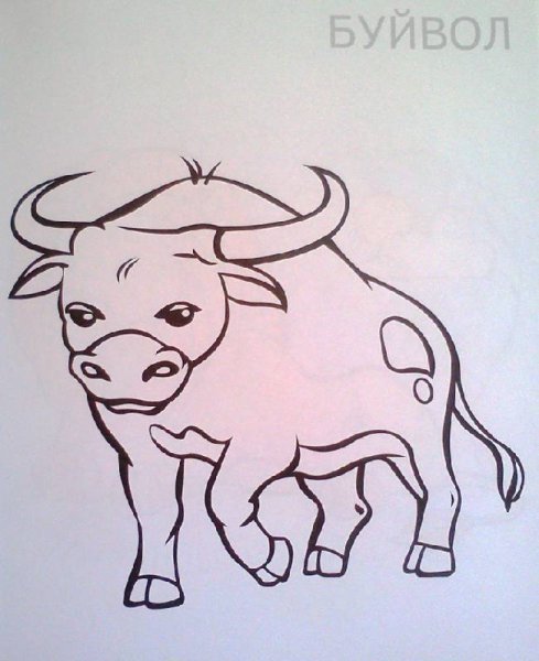 Бык нарисованный легкий