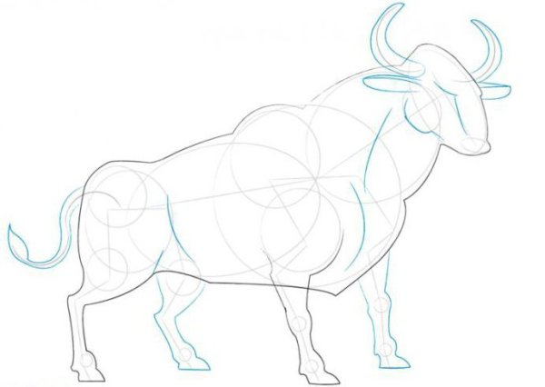 Вид сбоку бык контур