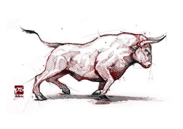 Бык набросок