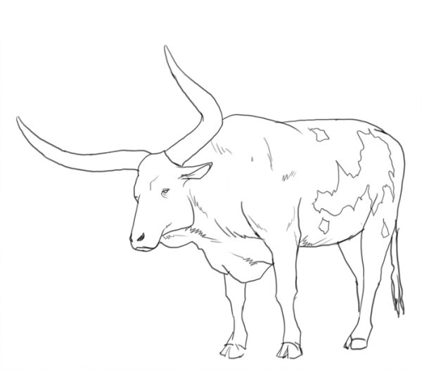 Рисование быка для детей