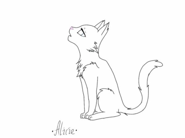 Срисовать котов воителей