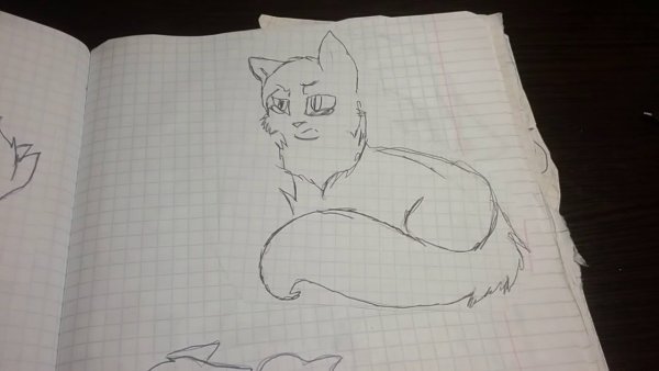 Коты Воители карандашом