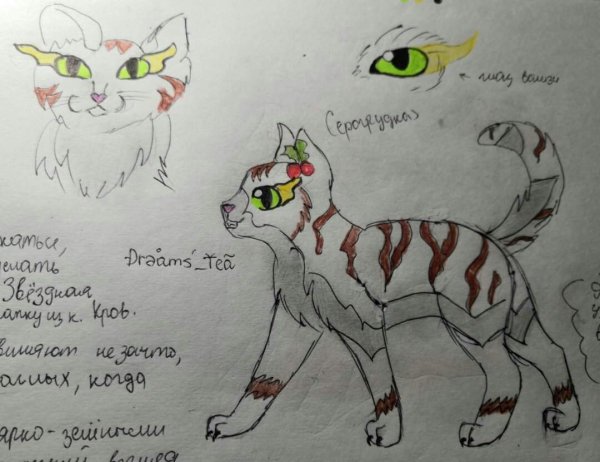 Картинки котов воителей для срисовки