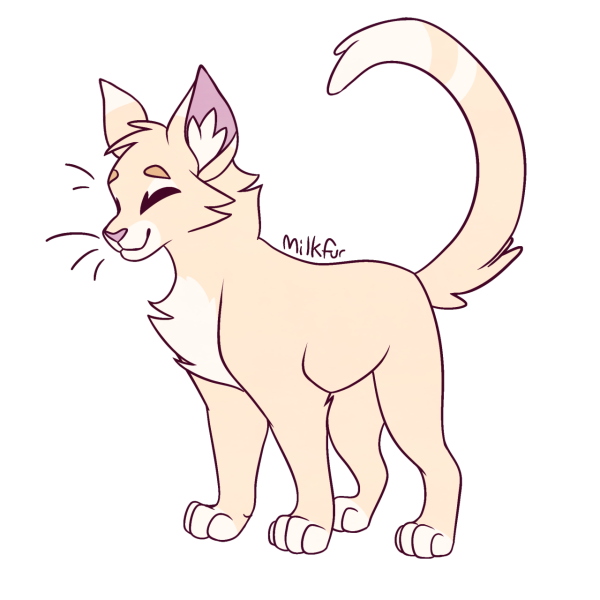 Рисунки котов воителей карандашом для срисовки