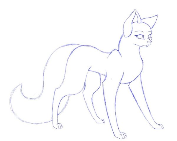 Коты Воители срисовать для начинающих