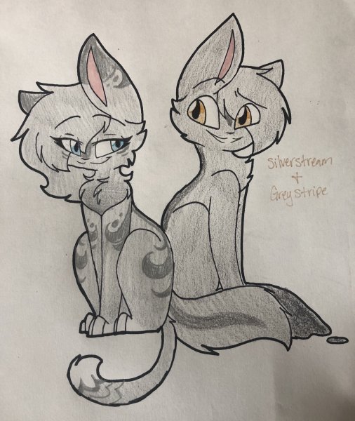 Срисовки котов воителей