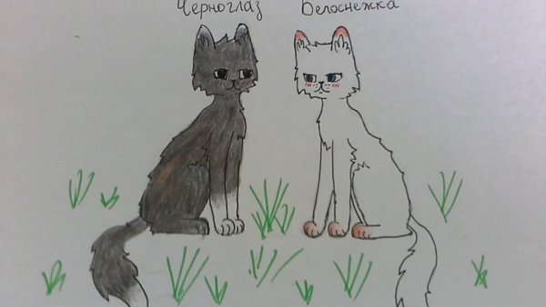 Мифические котики для срисовки