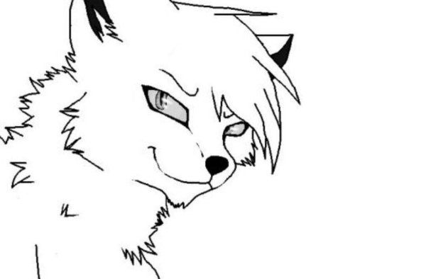 Коты Воители Чернозвёзд