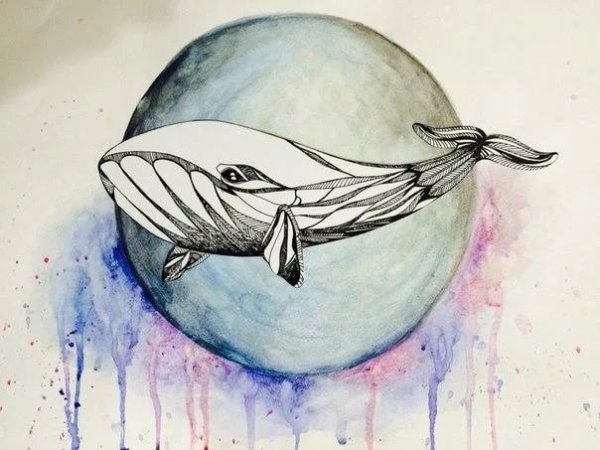 Маленький кит рисунок