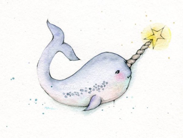 Нарвал милый