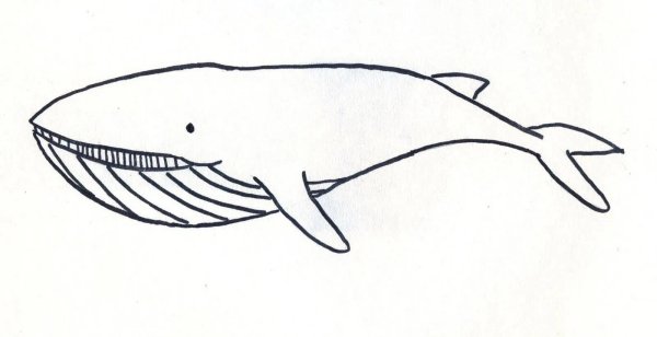 Рисунок кита легкий