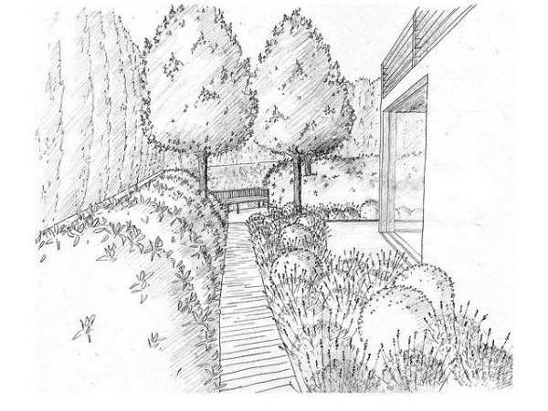 Ландшафтный дизайн рисунок