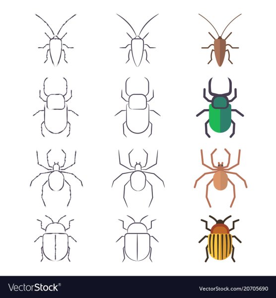 Таракан раскраска