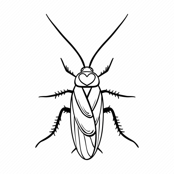 Таракан рисунок