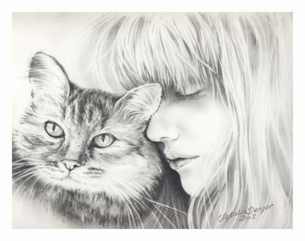 Девушка кошка рисунок карандашом