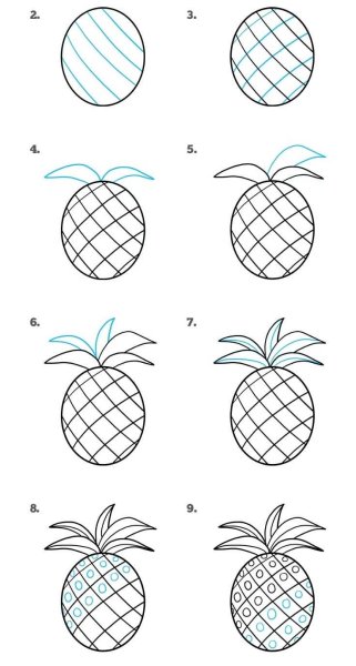 Ананас рисунок карандашом