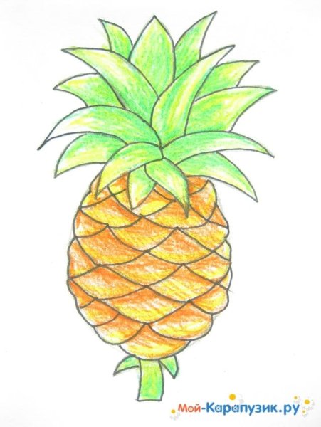 Рисование ананас легкий
