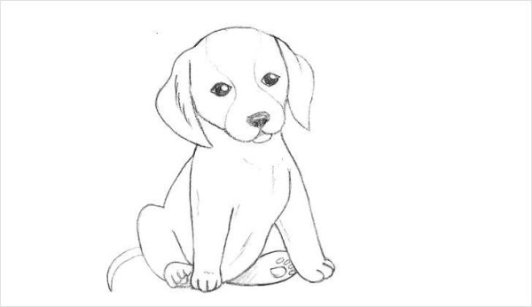 Щенок рисунок карандашом