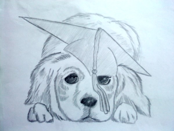 Собака для срисовки легкая красивая