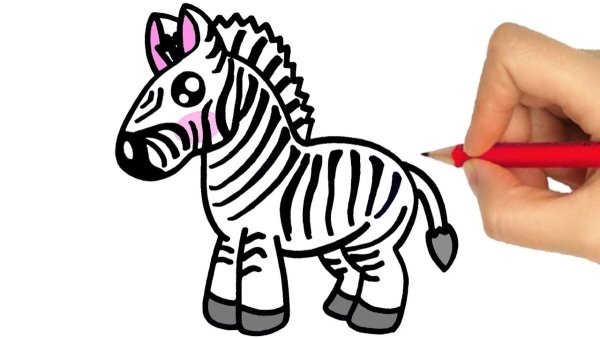 Зебра рисунок карандашом