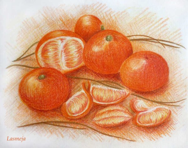 Натюрморты для срисовки