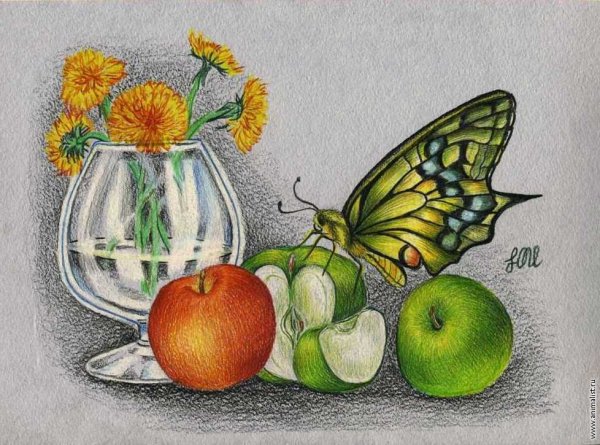 Натюрморт цветными карандашами легкий